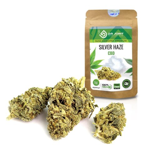 Susz konopny Dr. Joint CBD - Premium Silver Haze 1g Susz konopny Dr. Joint CBD - Premium Silver Haze 1g
